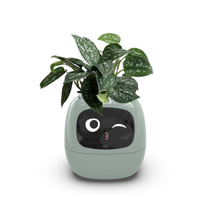 AI Smart Planter – 49+ Facial Expressions, 7 Sensors & Interactive Plant Care